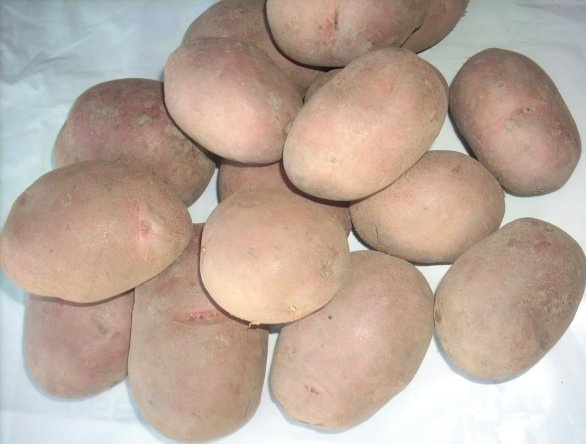  Картофель отборный